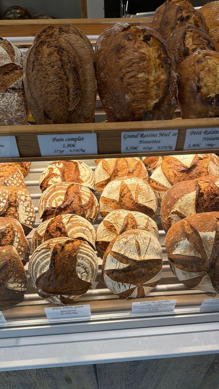 Showcase of various artisan breads on a bakery shelf, highlighting rustic loaves and enticing crusts.