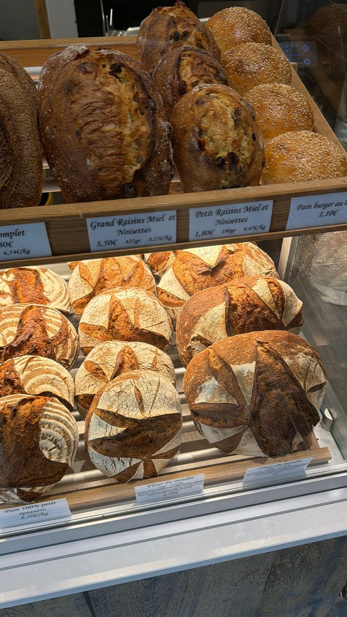 A variety of artisan breads on display in a French bakery, showcasing textures and patterns.