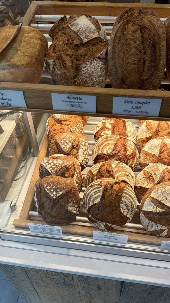 Mastering the First Impression: Your intriguing post title goes here A tempting assortment of fresh artisan breads in a bakery display, highlighting rustic loaves.